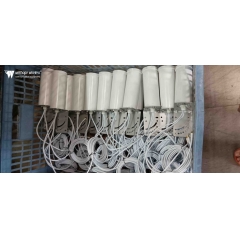 5G 2X2 omni MiMo anteni