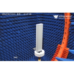 LoRaWAN 5G çoklu anten